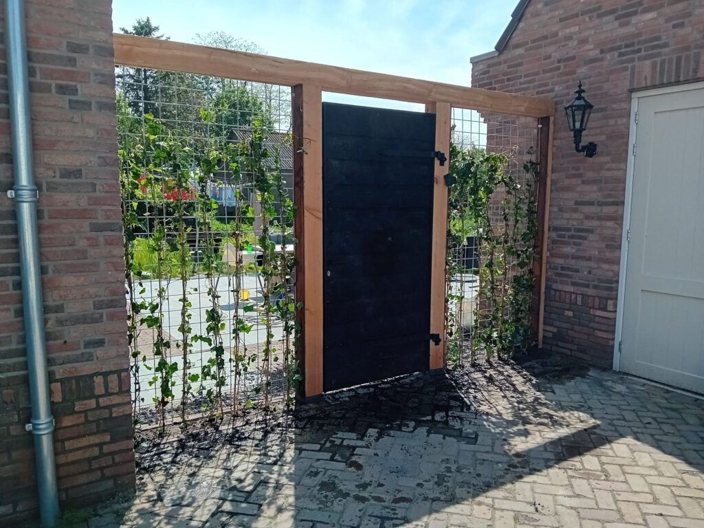 Poort met klimop