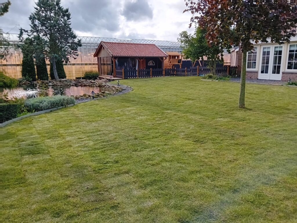 Nieuw aangelegen tuin met grasmatten en vijver