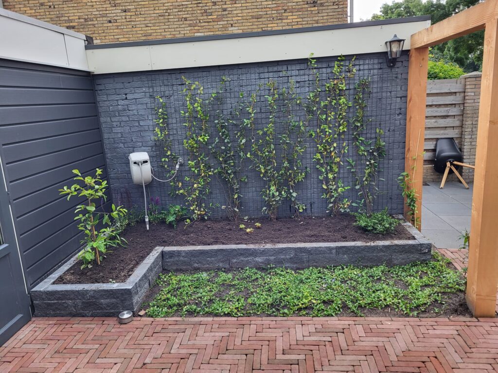 Strakke plantenbak met klimplanten